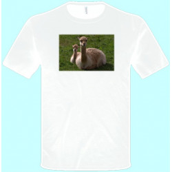 Tričká s potlačou zvierat - Lama (pánske tričko)