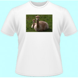 Tričká s potlačou zvierat - Lama (dámske tričko)