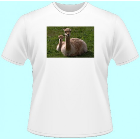 Tričká s potlačou zvierat - Lama (dámske tričko)